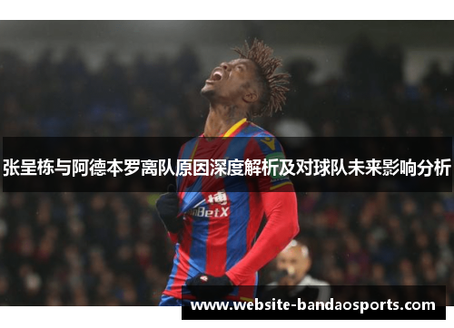 张呈栋与阿德本罗离队原因深度解析及对球队未来影响分析