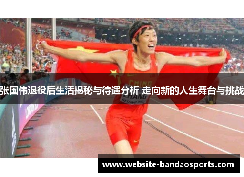 张国伟退役后生活揭秘与待遇分析 走向新的人生舞台与挑战