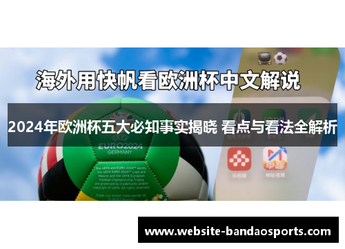 2024年欧洲杯五大必知事实揭晓 看点与看法全解析