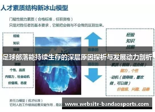 足球部落能持续生存的深层原因探析与发展动力剖析