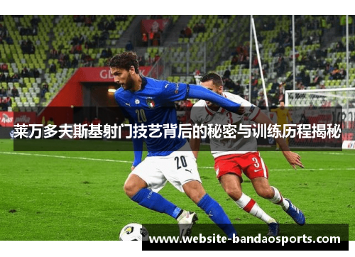 莱万多夫斯基射门技艺背后的秘密与训练历程揭秘